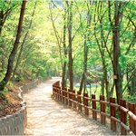 탈모예방법으로 늦기 전에 탈모<b>예방</b> 합시다 ㅠ.ㅠ
