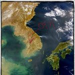 요즘 <b>해</b><b>품달</b>이 대세하길레