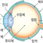 ★☆사진有)황금같은토요일소눈알을찾아떠난여중생들이야기☆★