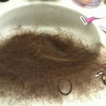 추가+<b>머리칼</b>사진有)여잔데 술김에 면도기로 머리를ㅡㅡ..