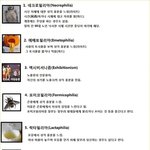 ★☆★세계10대 위험한 성도착증★☆★