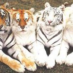 으으...프린터에<b>잉크</b>가부족해!