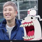 닮지않음?