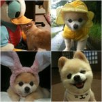 <b>영자</b>님 스릉흔드~