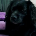 <b>동물</b>판 기념!! 우리딸래미사진 쓰윽 ㅎ