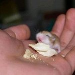 <b>기념</b>으로 우리아가달이사진 올립니다♥