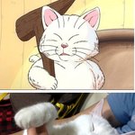 드래곤볼에서 쏙 튀어 나온 우리 두부