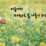 서울에서 150원으로 봄나들이 하는 법