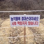 ☆★☆★☆★언니들이 이 상황이라면 어찌 할거임?☆★☆★☆★