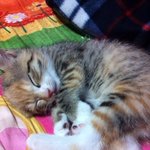 매력덩어리 <b>미묘</b> 연두♥3♥