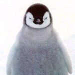 담배살때 젊어보이면 <b>민</b><b>증</b>검사 하잖아요