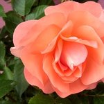 ♥동생들 오빠들 <b>삼촌들</b> 힘내요♥