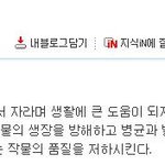 <b>잡초</b>녀