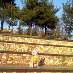 스압사진有★우리 써니의 남자친구를 찾습니다★!!