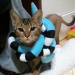 ★★★★★★★고3과막내의 슬픔★★★★★★★
