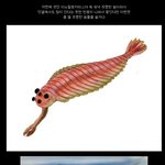 고생물<b>특집</b>)오파비니아 라고 아시나요