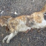 진짜꼭좀봐주세요진심으로부탁드립니다