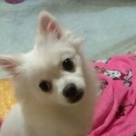 ★남자친구 구합니다 ★ ☞하얗고 이쁘고 여우 닮았습니다☜