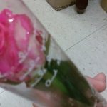 ♥♥♥(사진有)화이트데이기념 남자친구자랑♥♥♥