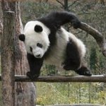 뿅 <b>호빗</b> 훗 남고생 꺼짜뿌뿌 카톡 어딧나ㅠㅠ