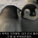 난 이 톡의 후기가 궁금해진다