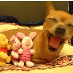 좋아하는 여자가 좋은사진 보냄77