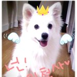 ★★★사진多★★진짜 진짜..써니 남친...찾아주고싶어요.ㅋㅋㅋㅋ