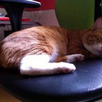 레오와 <b>나르</b>입니다