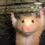 ☆☆대전6味중 으뜸이어라▶대전맛집다녀왔어요ㅎㅎ☆☆사진유!(리왕)