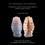 혐)물고기 혀를 없애고 자기가 혀가 되는 <b>기생충</b>