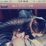 2탄) 태어난지 2주된 우리집 막둥이 하루 - ♡