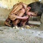 탈북자들 북송을 반드시 막아야하는 이유?