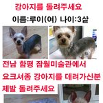 강아지를 돌려주세요 전남 <b>함평</b> 잠월미술관