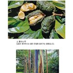신기한 <b>식물</b>들 1탄