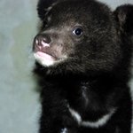 최초(!?) 곰판이요ㅋ 곰有有