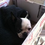 <b>삼순</b>이2탄! 사진有