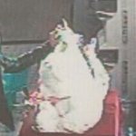 ◐◑◐◑◐소중한 곰돌이를 납치당햇습니다.. 여러분.. 도와주세요...