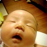 흰둥이 우리 아가를 소개합니닷!