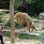 (<b>완결</b>) 1초후 궁금한사진들