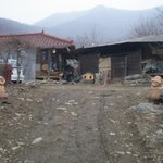 ★★★★★우리집 동물들을 소개합니다★★★★★ 2탄