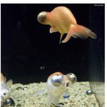 그녀의<b>은밀</b>한곳