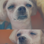 존나개<b>아련</b>하네....