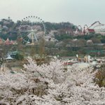 봄의 향기가 가득 밀려온다!!! ^^ 즐거운 봄의 이벤트~!!