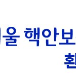 핵<b>안보</b>정상회담 한복패션쇼 자원봉사자 모집