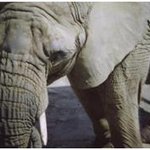 닥터수? <b>보습</b>과 안티에이징을 한번에 잡네요 !! ㅎㅎ