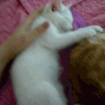 두구두구<b>두구</b><b>두구</b>~