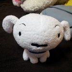 ☆★동안시츄 그녀이름 방울이★☆
