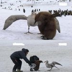 남극의 눈물 보신분 있음?