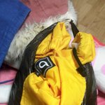 ★후기★★★★찌질이전남친 옷 쌍촌동햇살치킨<b>미니스톱</b>에서 옷 찾아갔는데.....