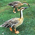 개리의 진실ㅡㅡ